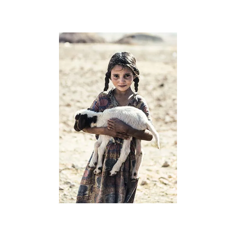 Poster Little girl carrying a lamb