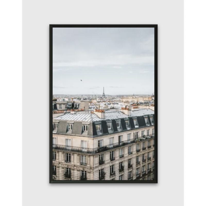 Framed poster of Paris