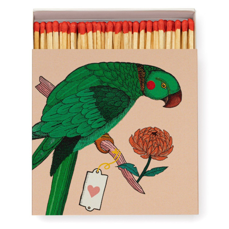 Matchbox - Parrot