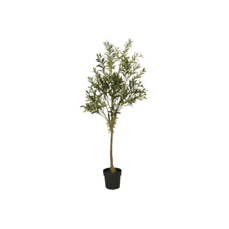 Potted olive tree - GM